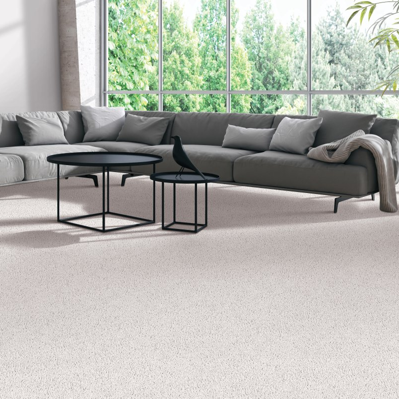 Living room with comfy carpet - Natural Splendor II - Ocean Spray