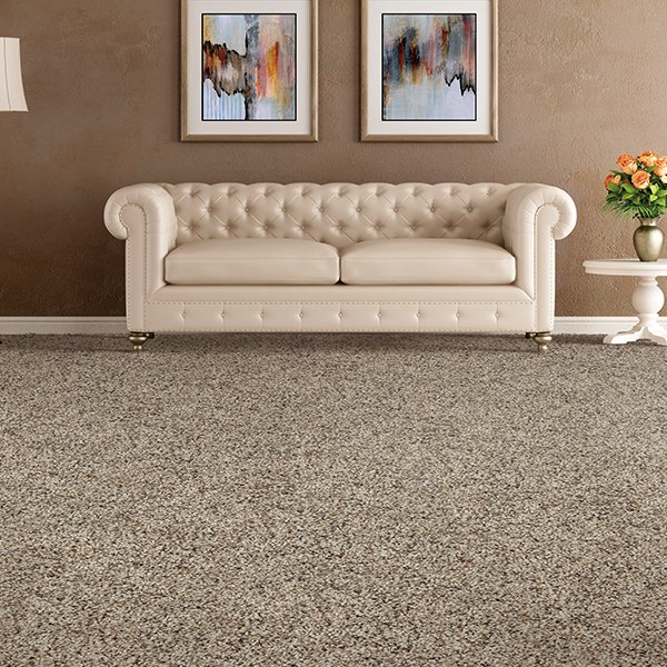 Get inspired with our carpet gallery at Georgia Carpet Warehouse in Charlotte, NC